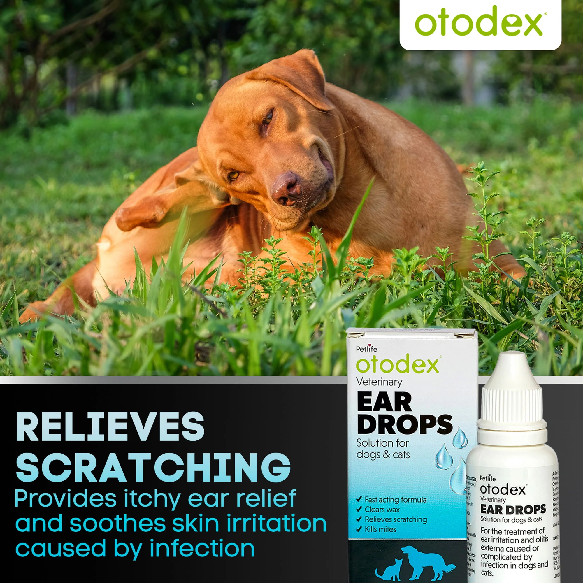 Otodex Ear Drops 14ml - Image 5