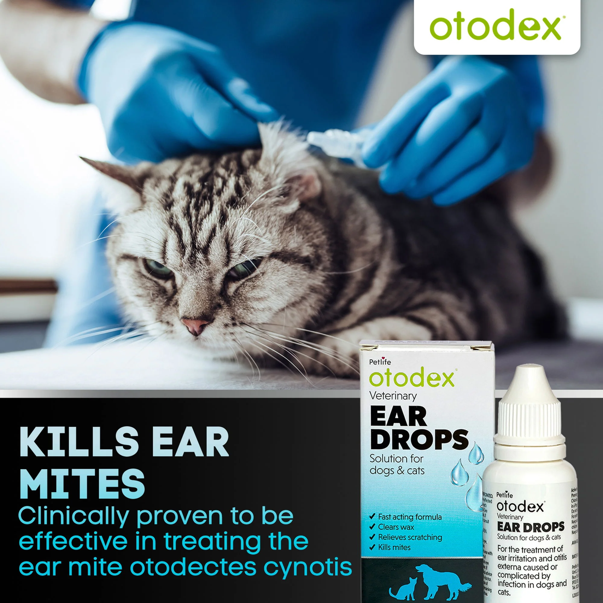 Otodex Ear Drops 14ml - Image 6