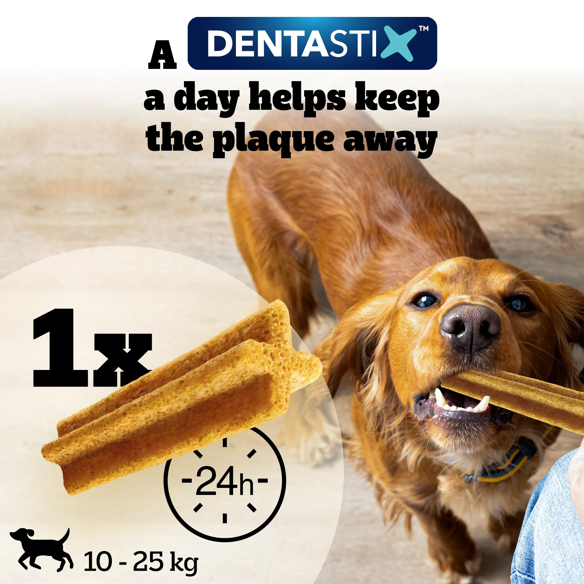PEDIGREE DentaStix Light Daily Dental Chews Medium Dog 5 Sticks - Image 3
