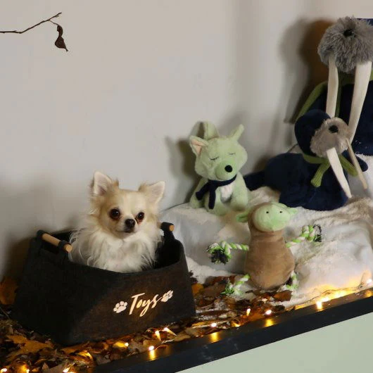 Pet Brands Starry Nights Toy Storage Basket - Image 3