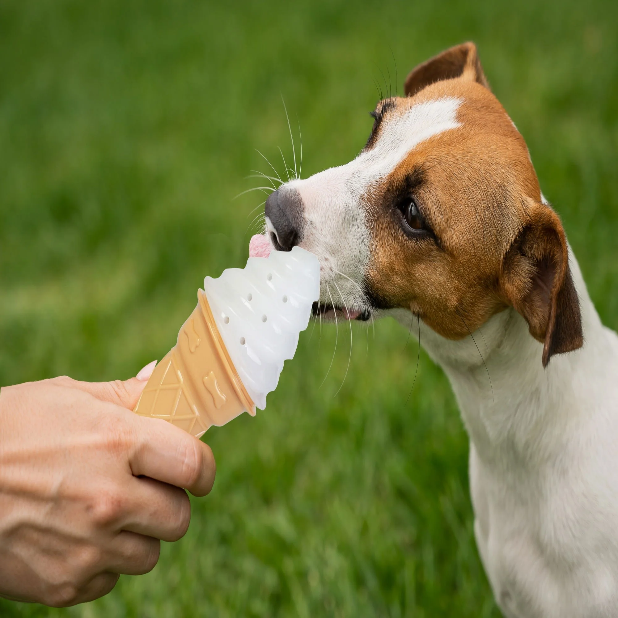 Pet Cooling Toy - Ice Cream - Image 3