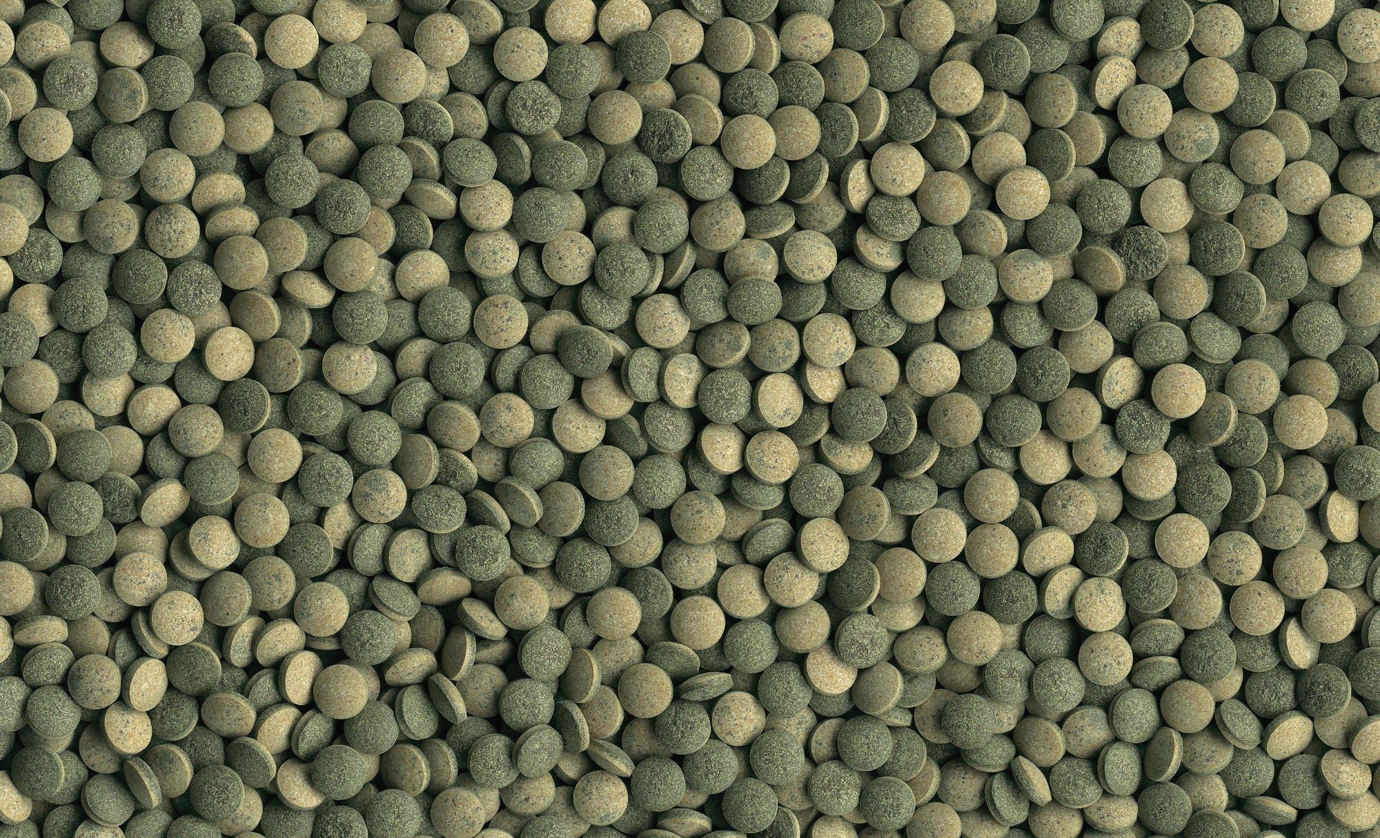 Pleco Tablets - Image 2