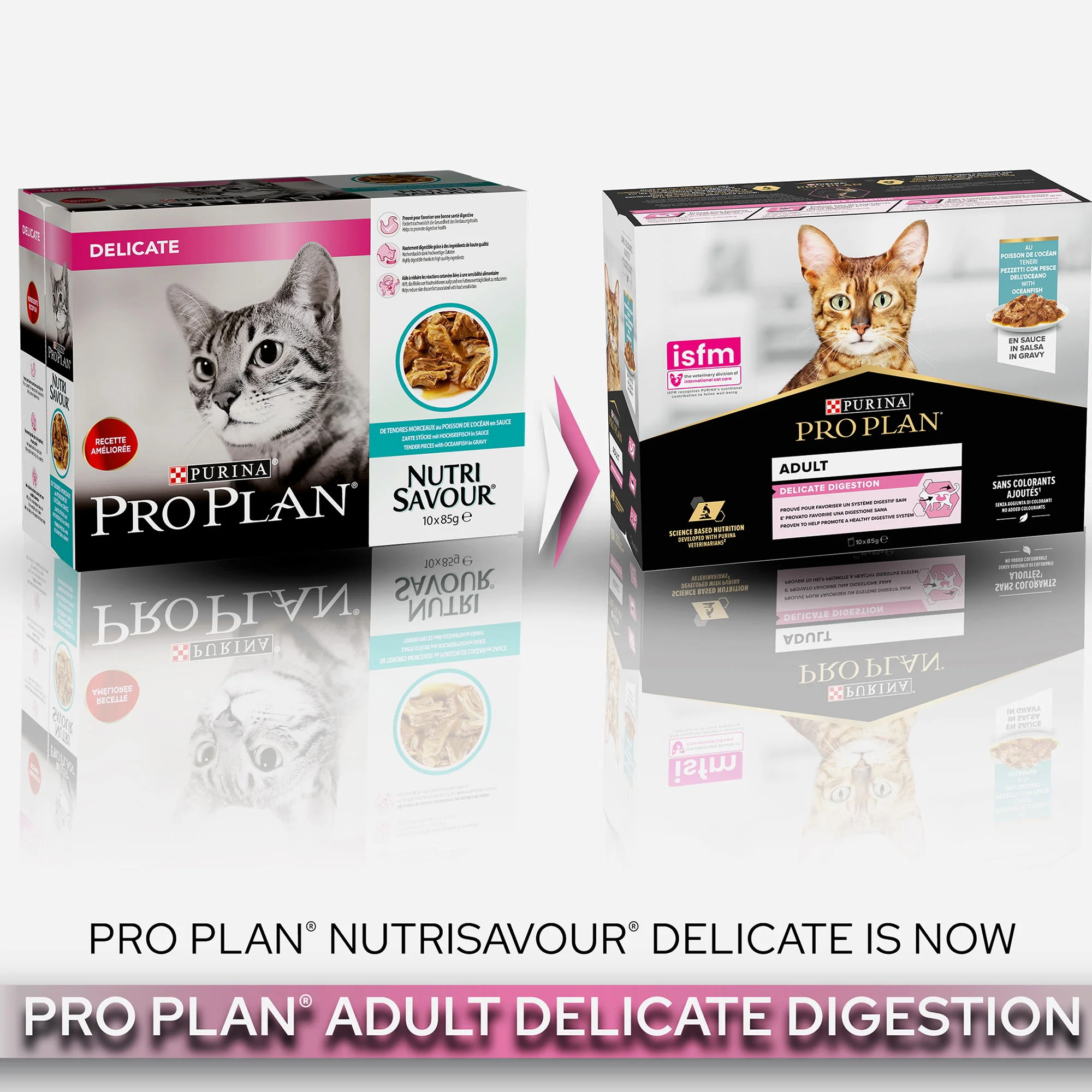 Pp Cat Nutrisavour Delicate Ocean Fish In Gravy 10x85g - Image 3