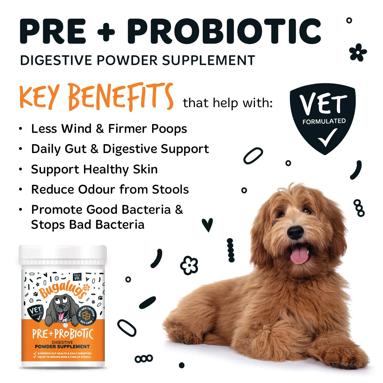 Pre & Probiotic Digestive Powder Supplement 200g Pot with spoon - Image 2