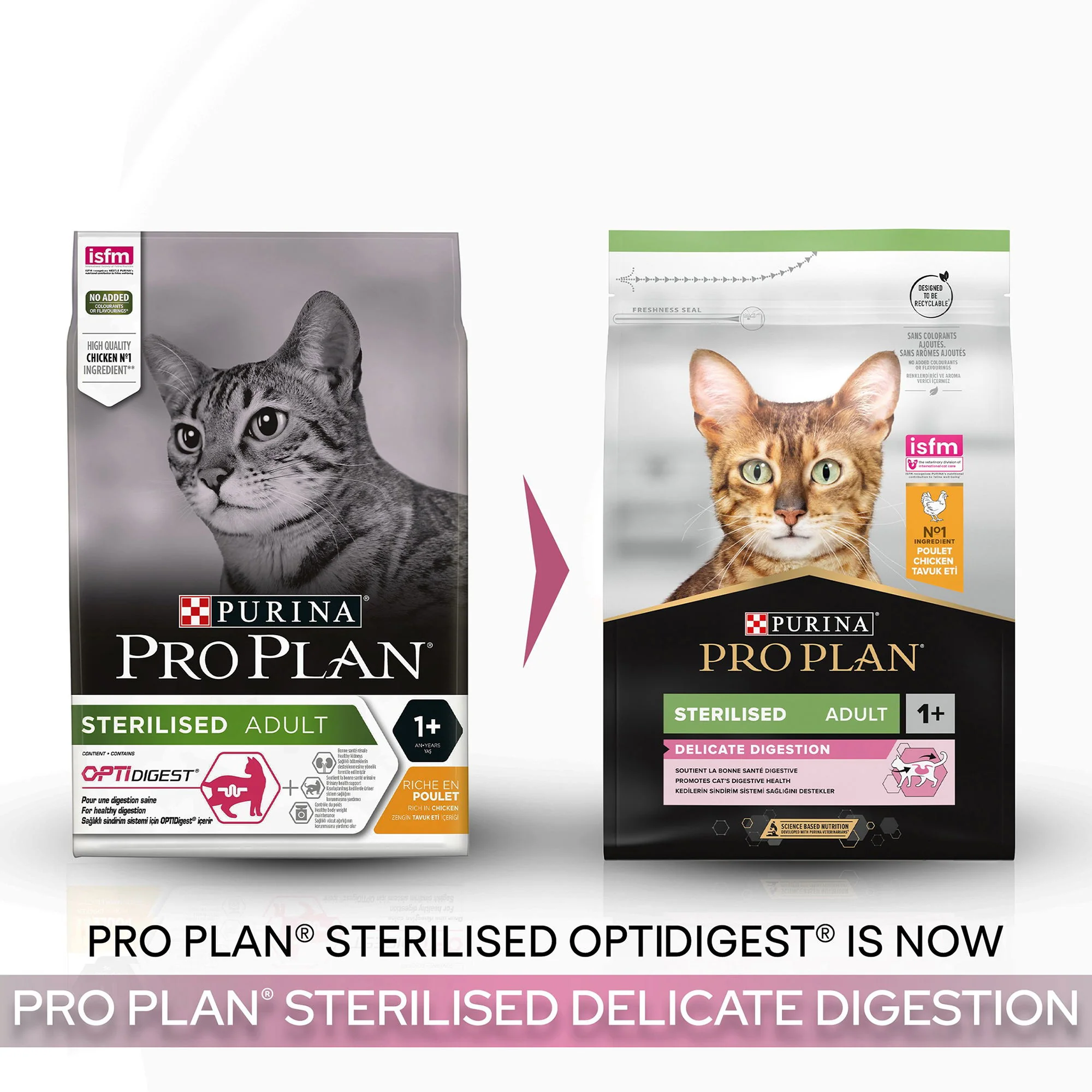 PRO PLAN Cat Optirenal Delicate Chicken & Rice 3kg Optidigest Sterilised Adult Dry Cat Food 3kg - Image 3