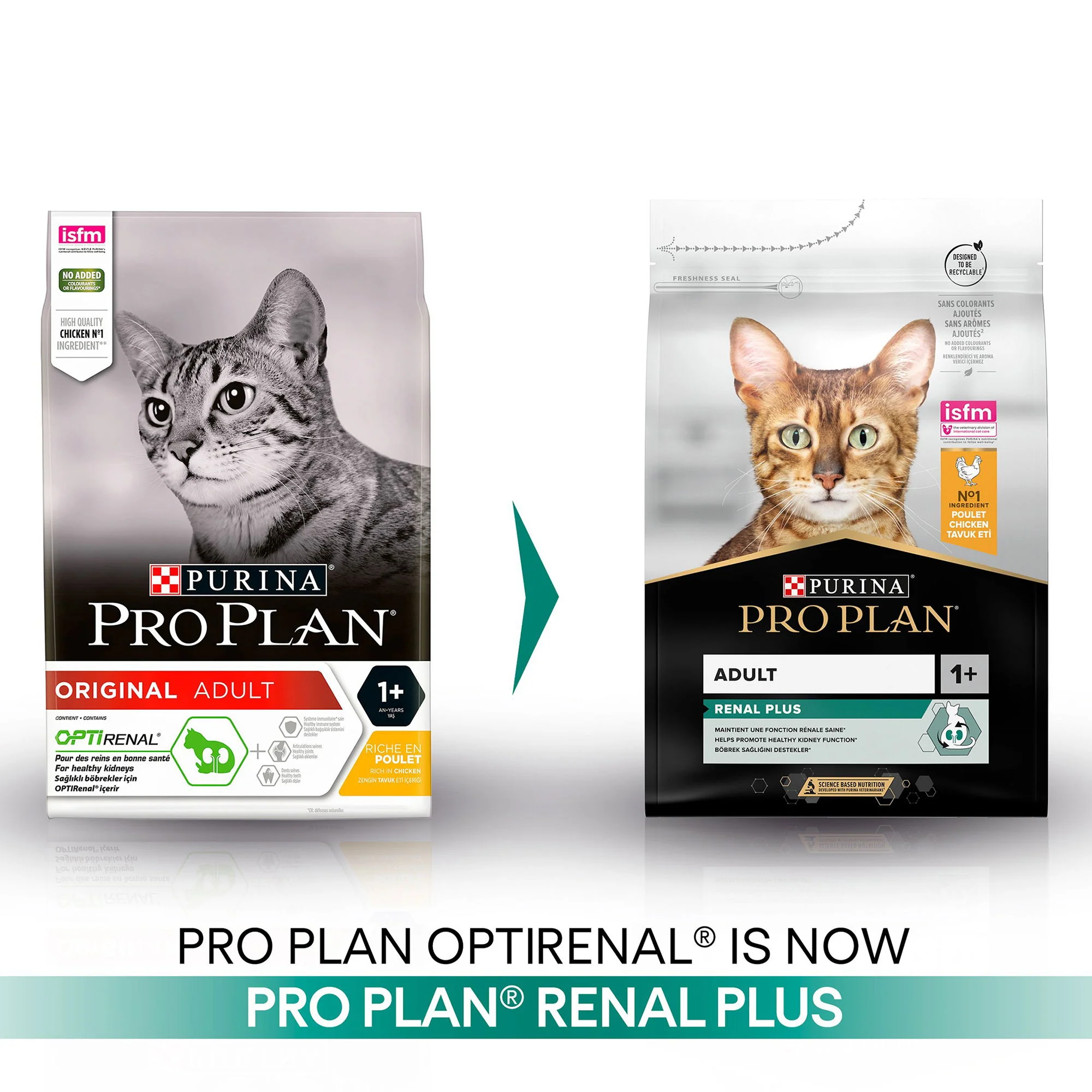PRO PLAN Cat Optirenal Delicate Turkey & Rice 3kg Original Adult Cat Chicken & Rice 10kg - Image 3
