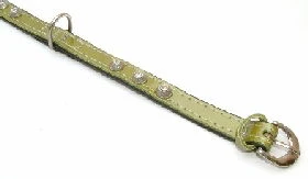 Puppies Cone Leather Collar Green 15mm X 35cm