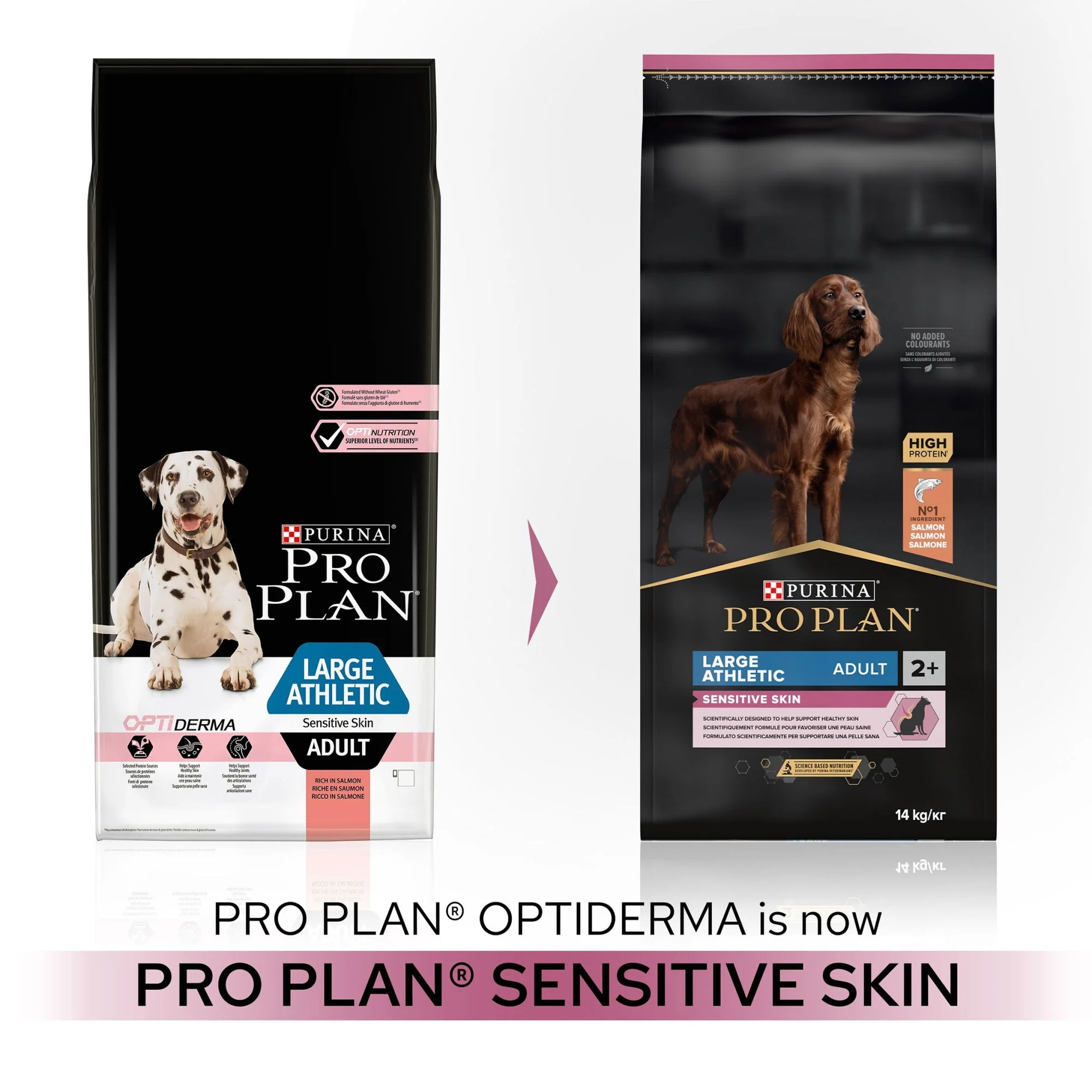Purina ProPlan OptiDerma SenSkin Lrg Athltc Adt Salmn 14kg - Image 4