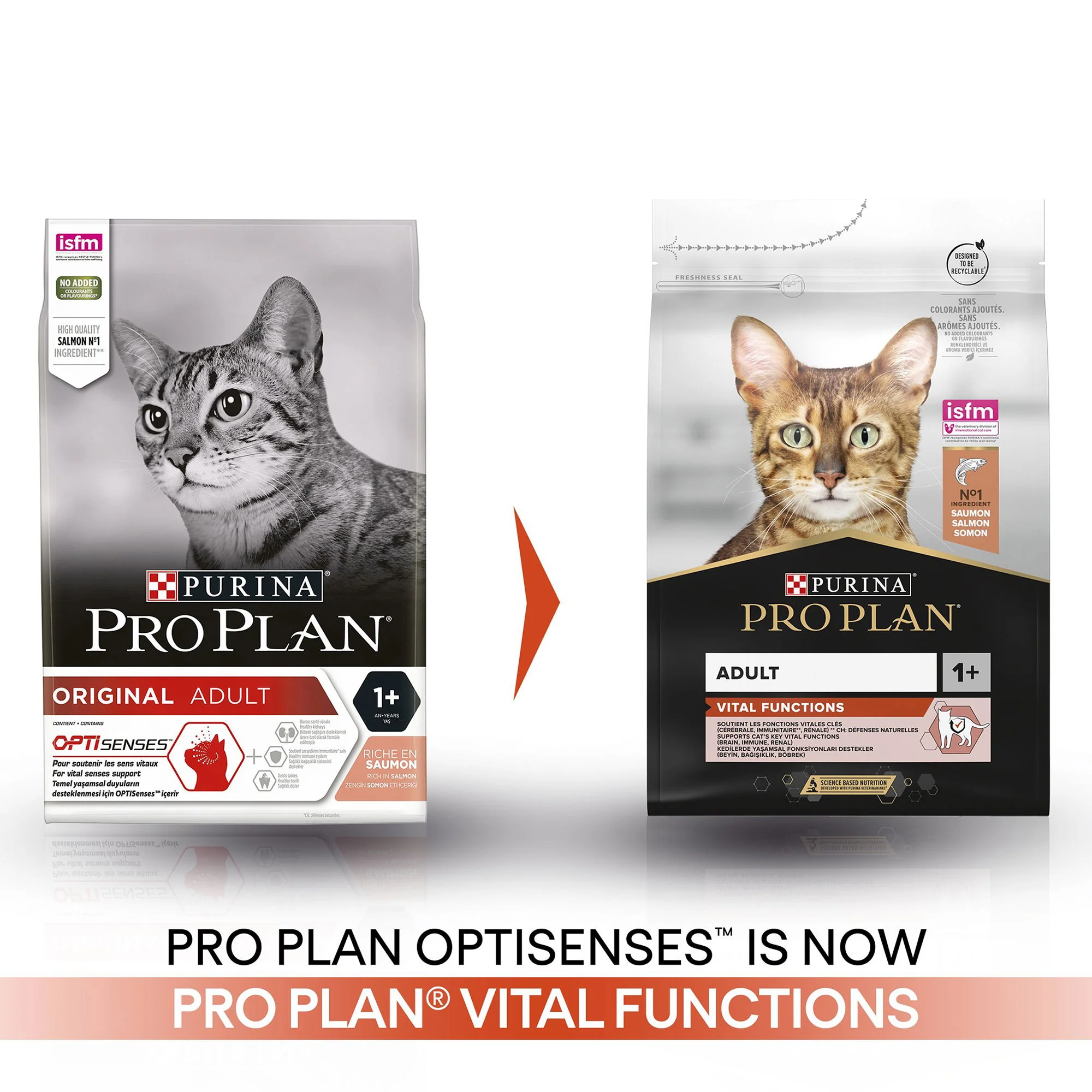 Purina ProPlan OptiRenal Adult Dry Cat Food Salmon1.5kg - Image 3