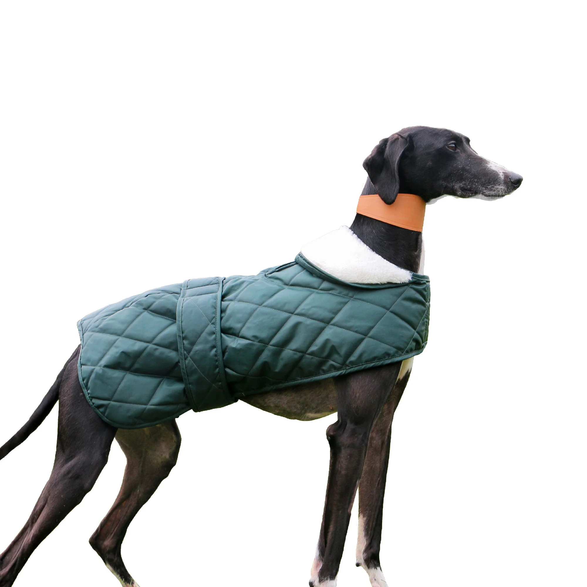 Quilted Hound Coat 53cm
