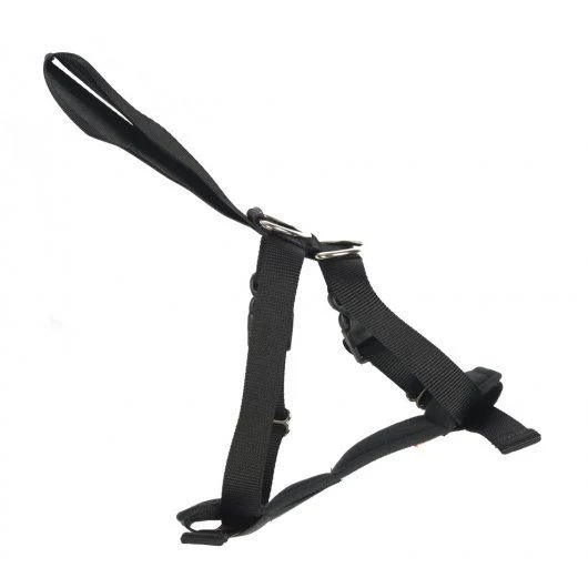 RAC 2 In 1 Car Harness Medium Max Chest 41-58cm (16-23")