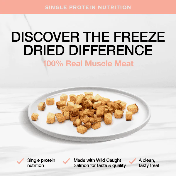 Real Simplicity Freeze Dried Single Protein Treats Wild Caught Salmon 30g - Image 2