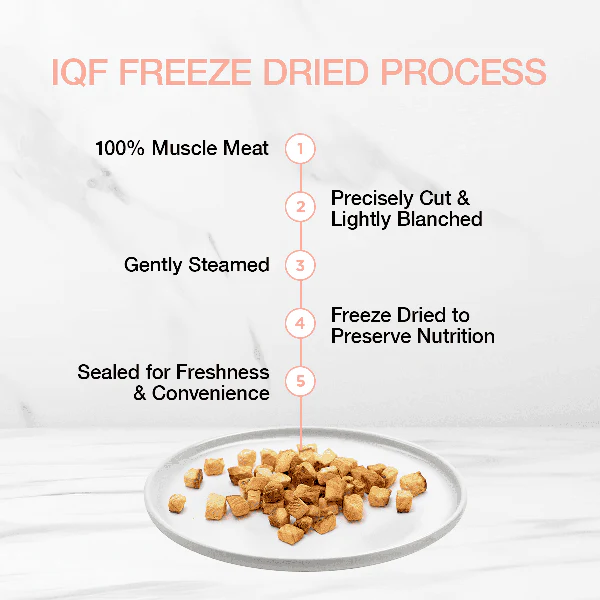 Real Simplicity Freeze Dried Single Protein Treats Wild Caught Salmon 30g - Image 3