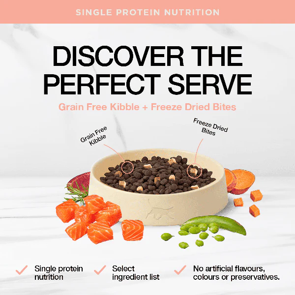 Real Simplicity Grain Free Kibble Wild Caught Salmon 1.6kg - Image 2