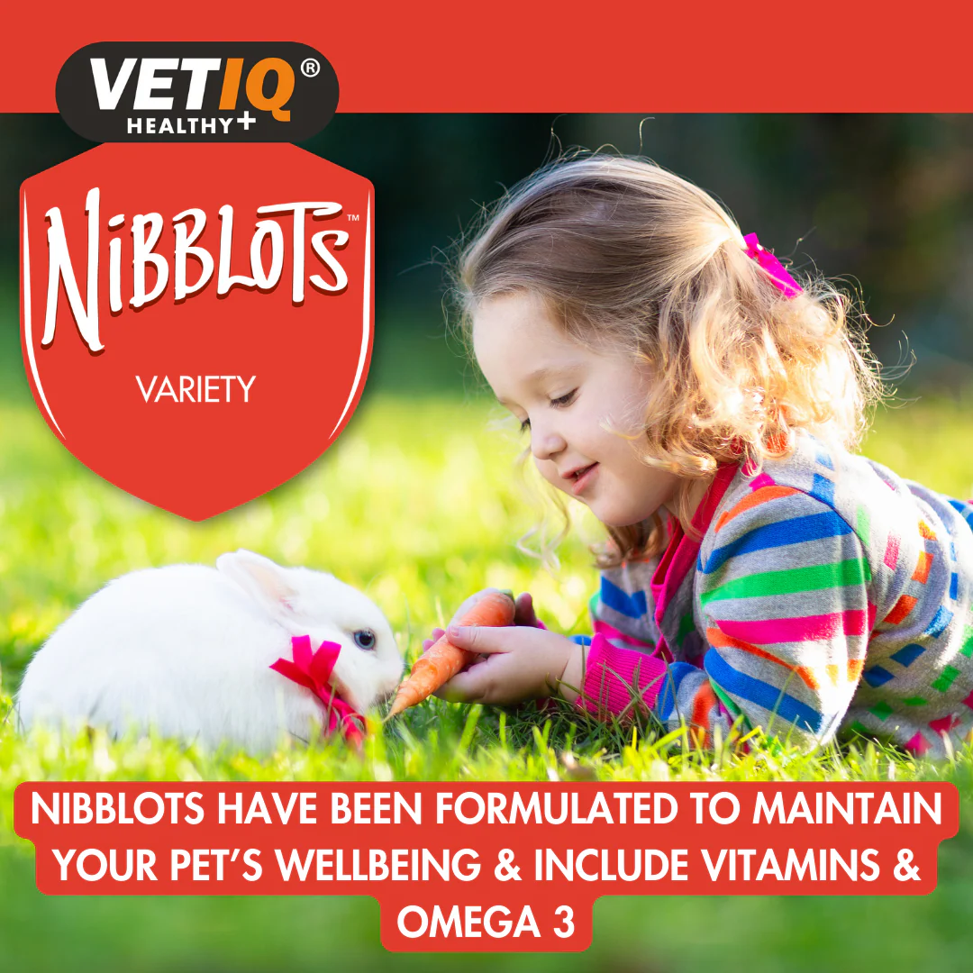 Retail Nibblot Variety pack 4x30g - Image 2
