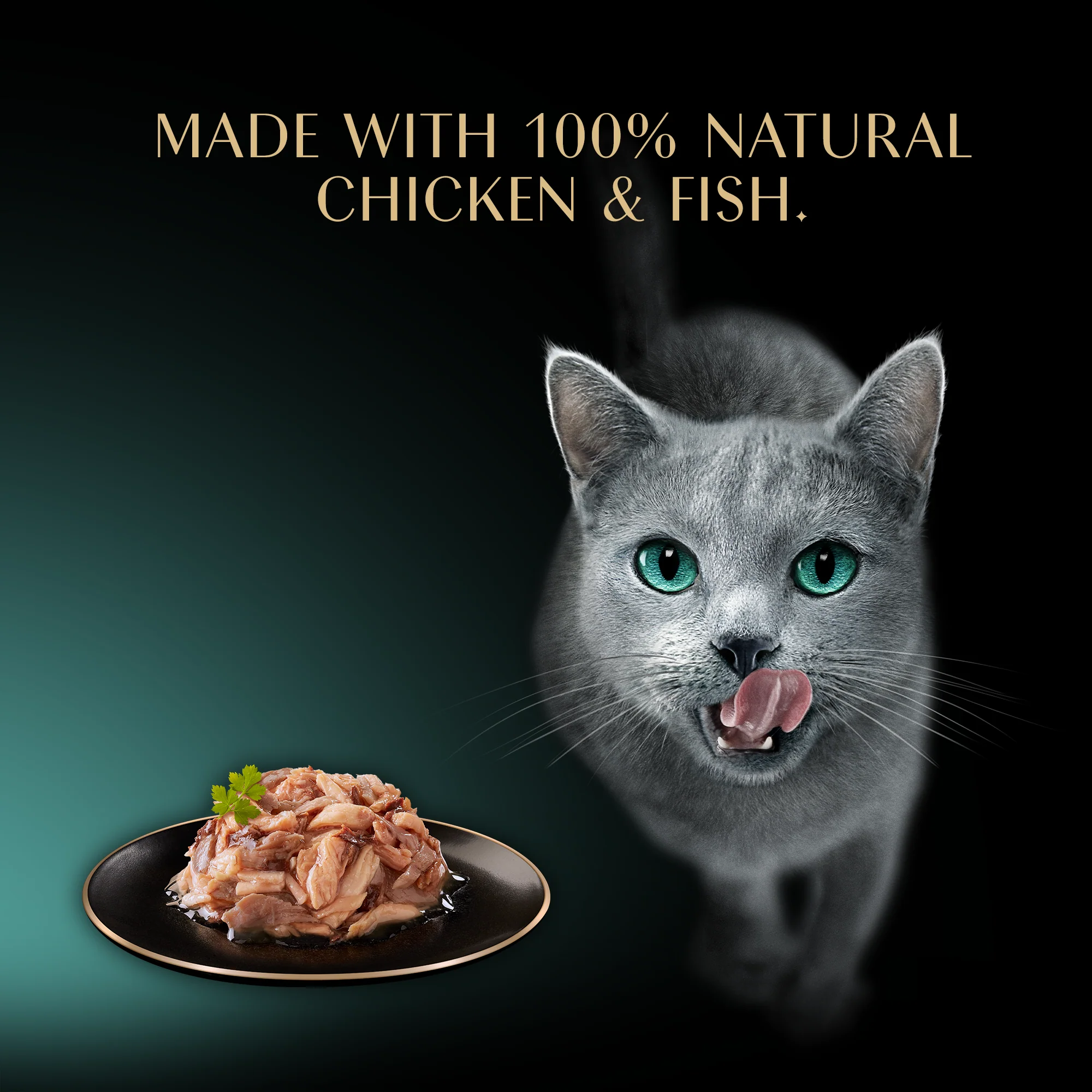 Sheba Filets Cat Food Tray Chicken and Tuna MSC in Gravy 60g - Image 3