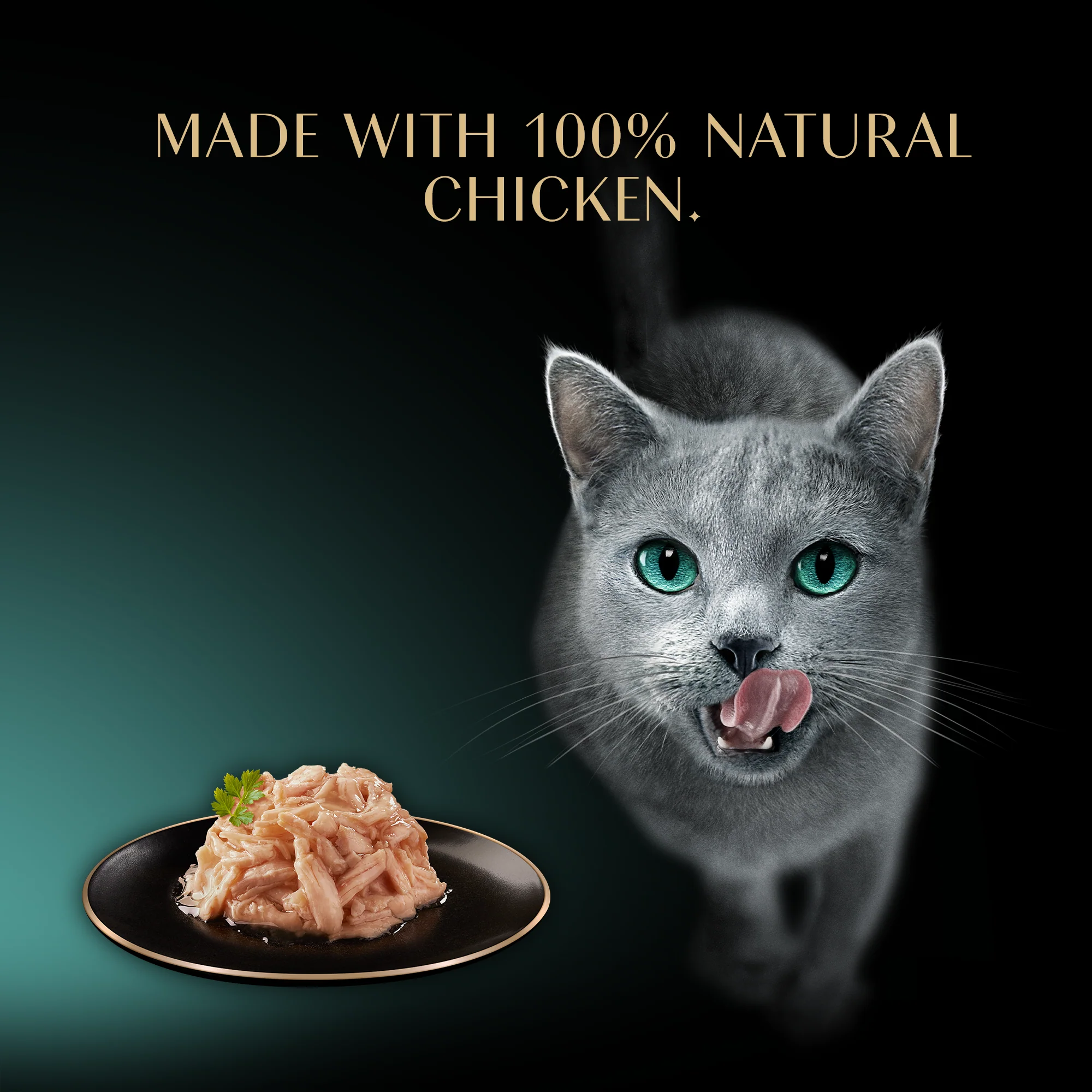 Sheba Filets Cat Food Tray with Chicken in Gravy 60g - Image 3
