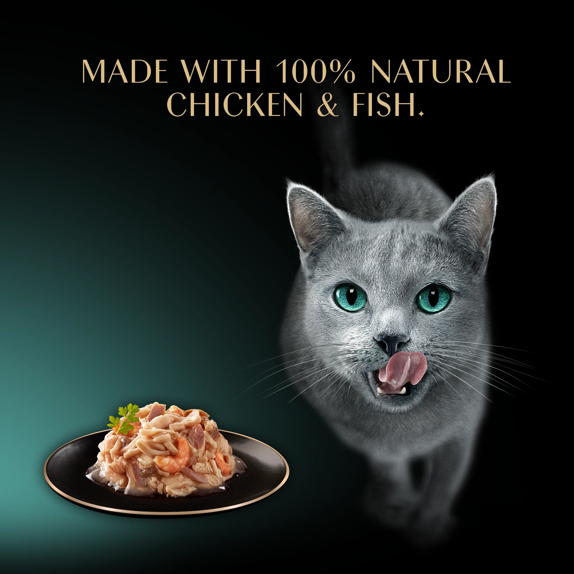 Sheba Filets Cat Food Tray with Chicken Shrimp & Ocean fish in Gravy 60g - Image 3