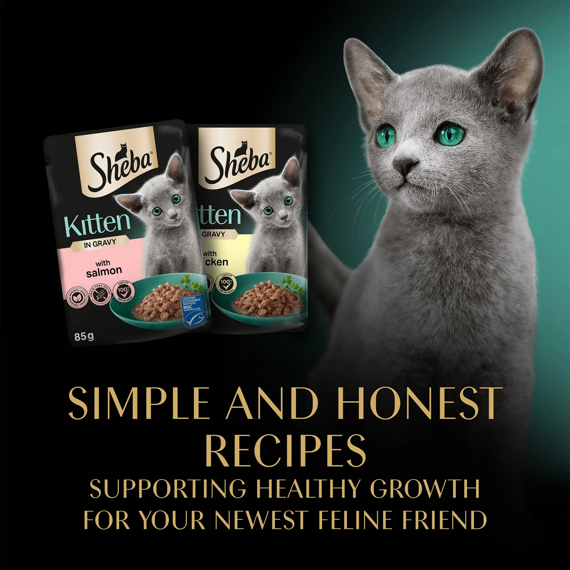 SHEBA Mixed Selection Kitten Wet Cat Food in Gravy 12 x 85g Pouch - Image 4