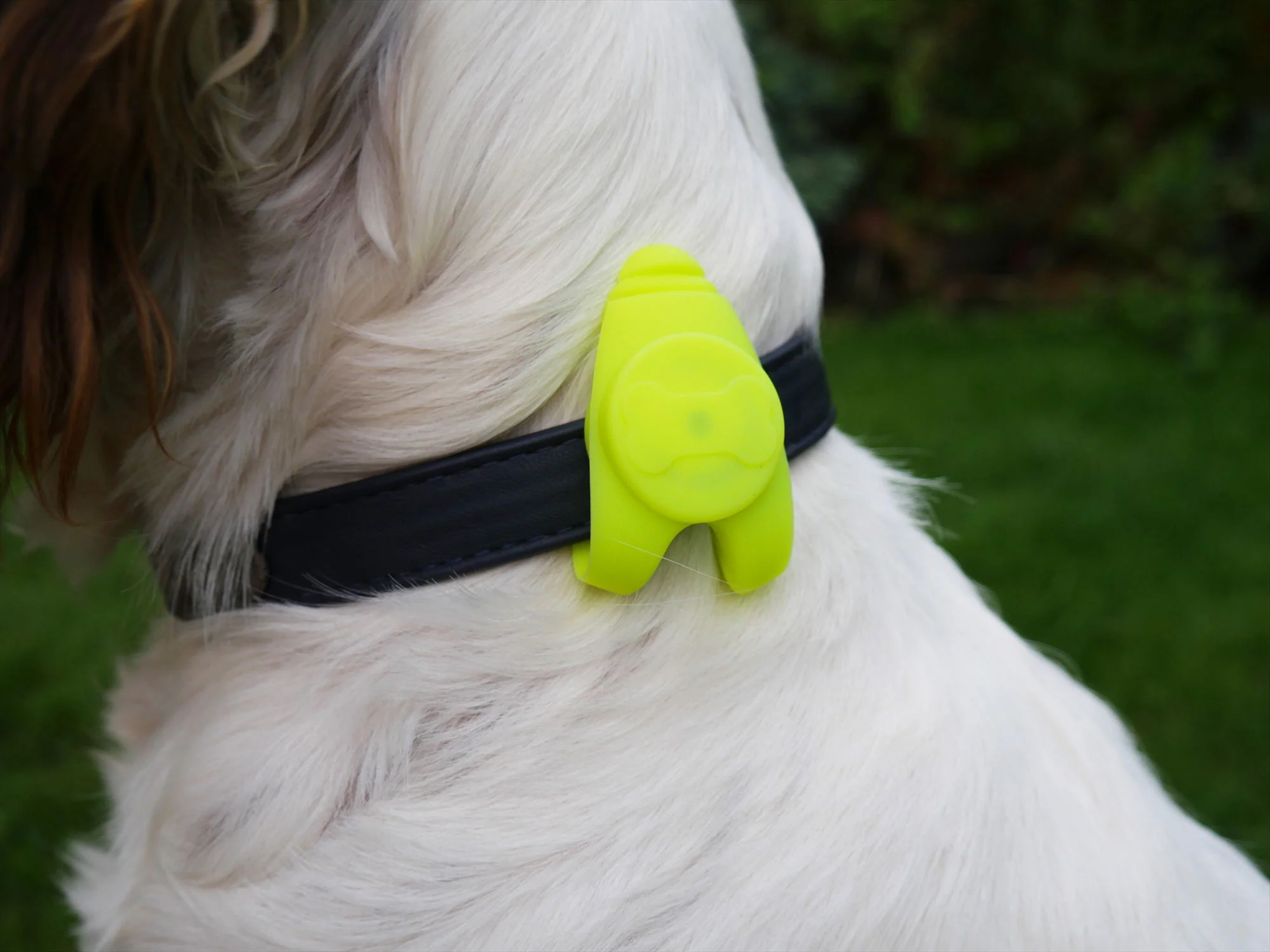 Silicon Collar Light Small 8cm - Image 4