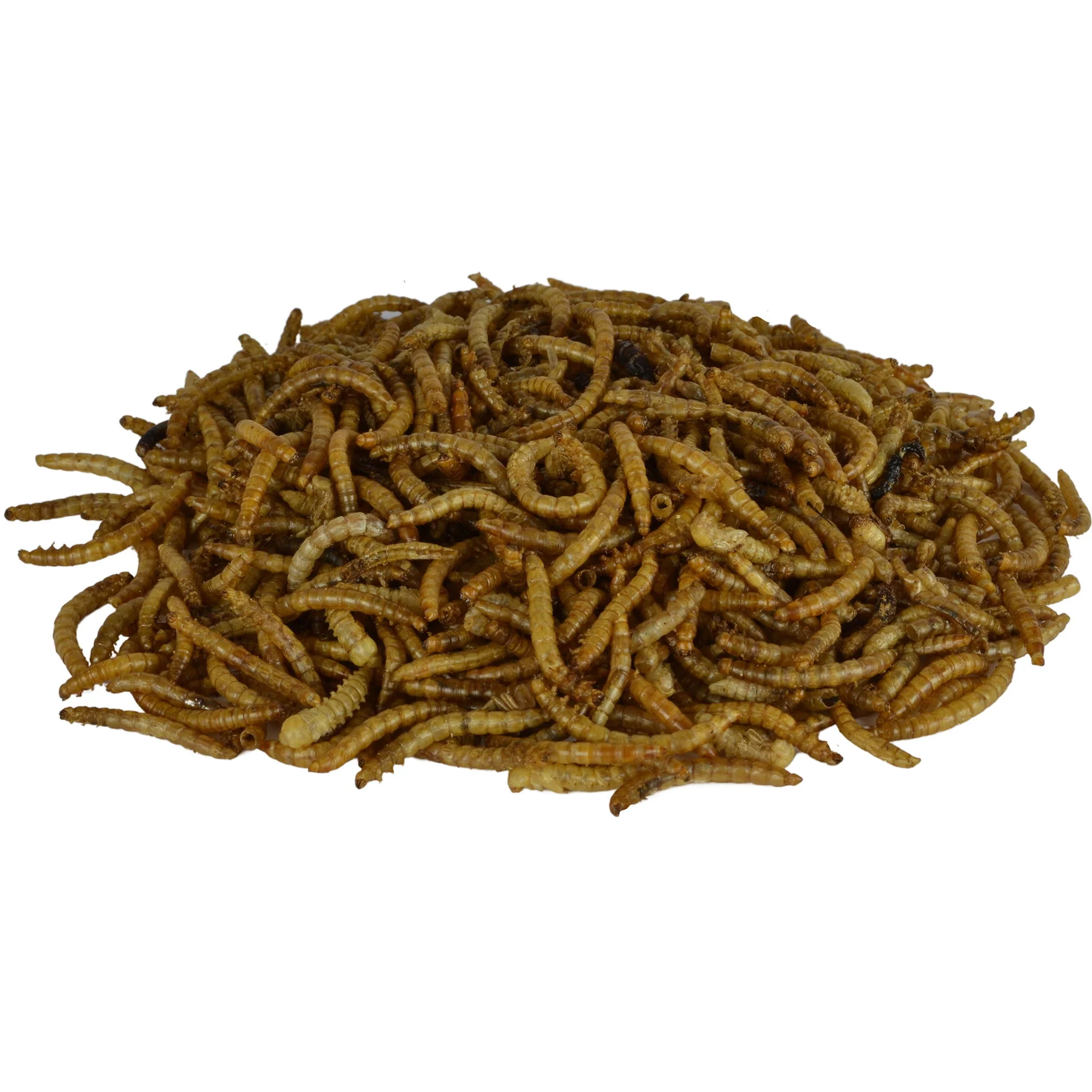Supa Dried Mealworms 225ml - Image 4