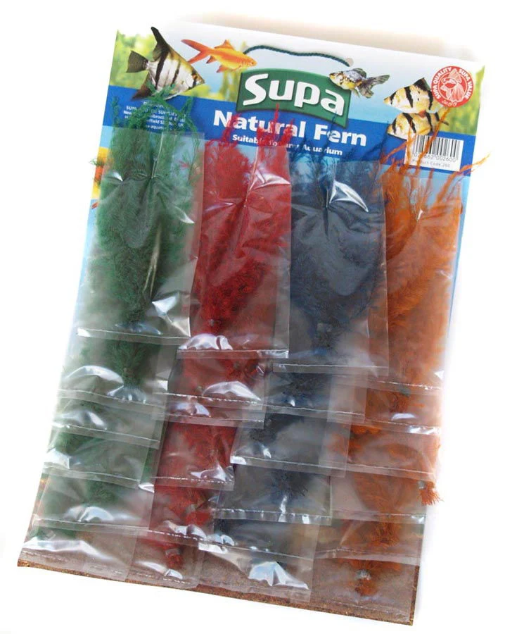 Supa Ferns Single Mxd Colours Standard - Image 3