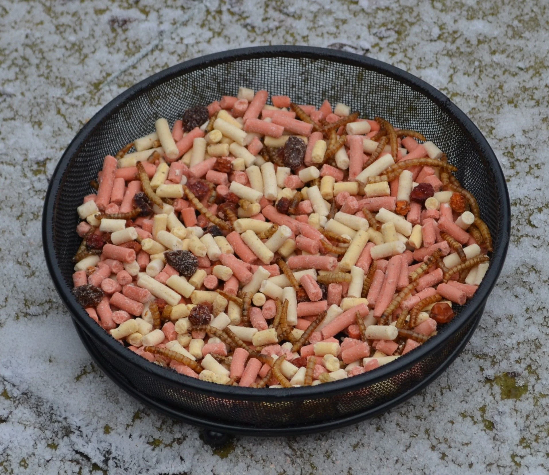 Supa Ground Feeder Table - Image 2