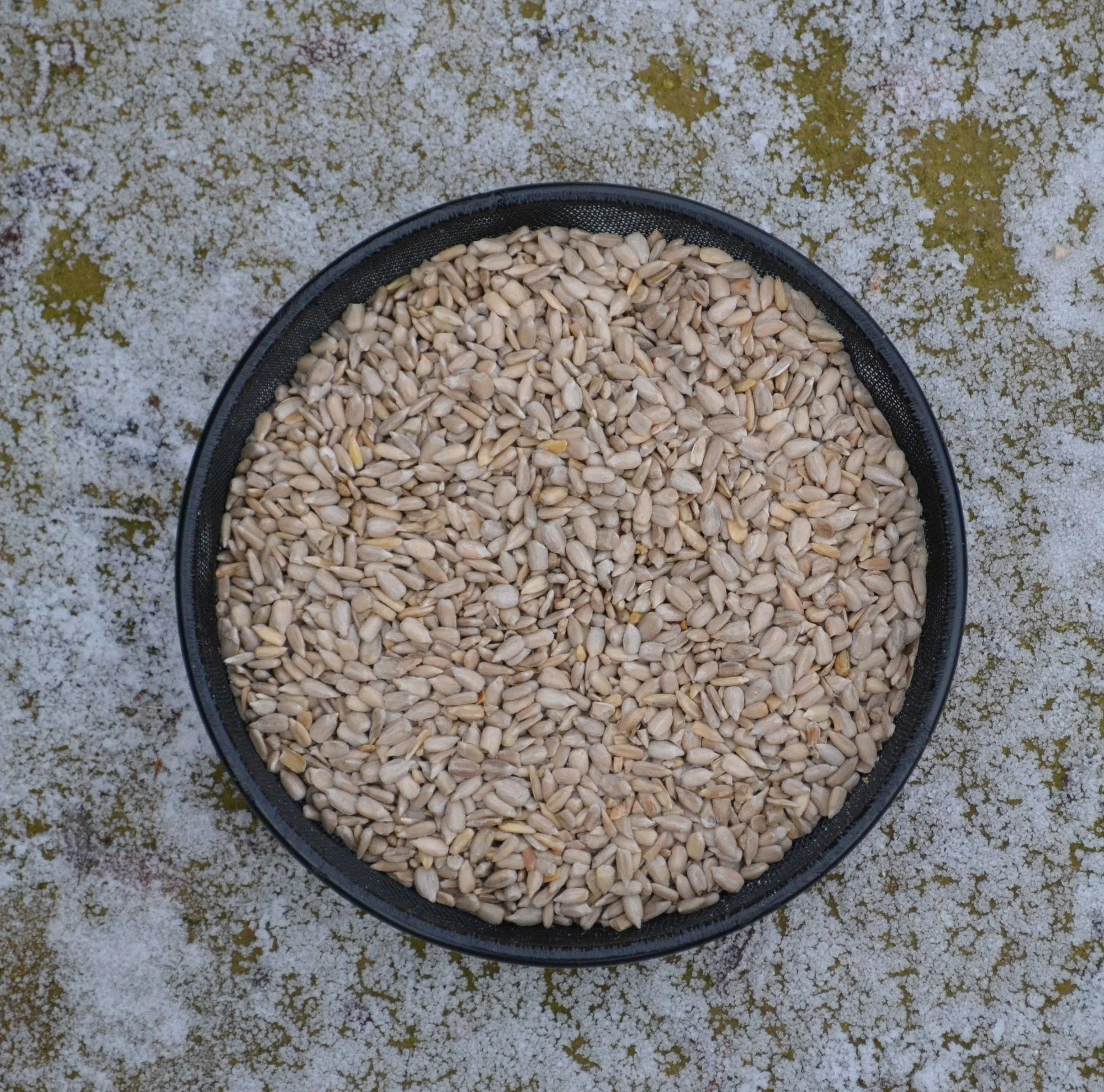 Supa Ground Feeder Table - Image 4