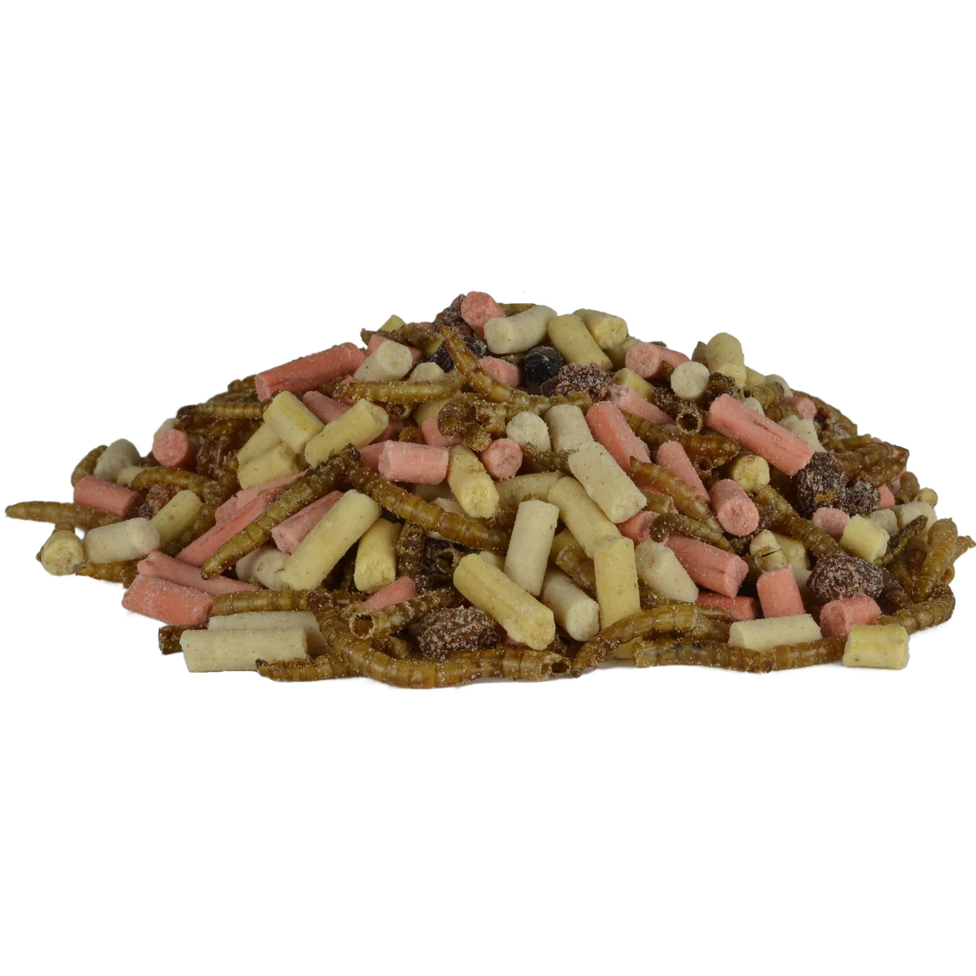 Supa Mealworm Platter 3ltr - Image 4