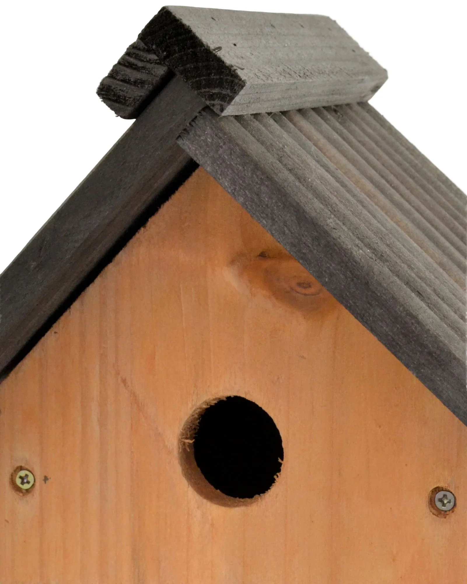 Supa Multi-purpose Nesting Box - Image 5