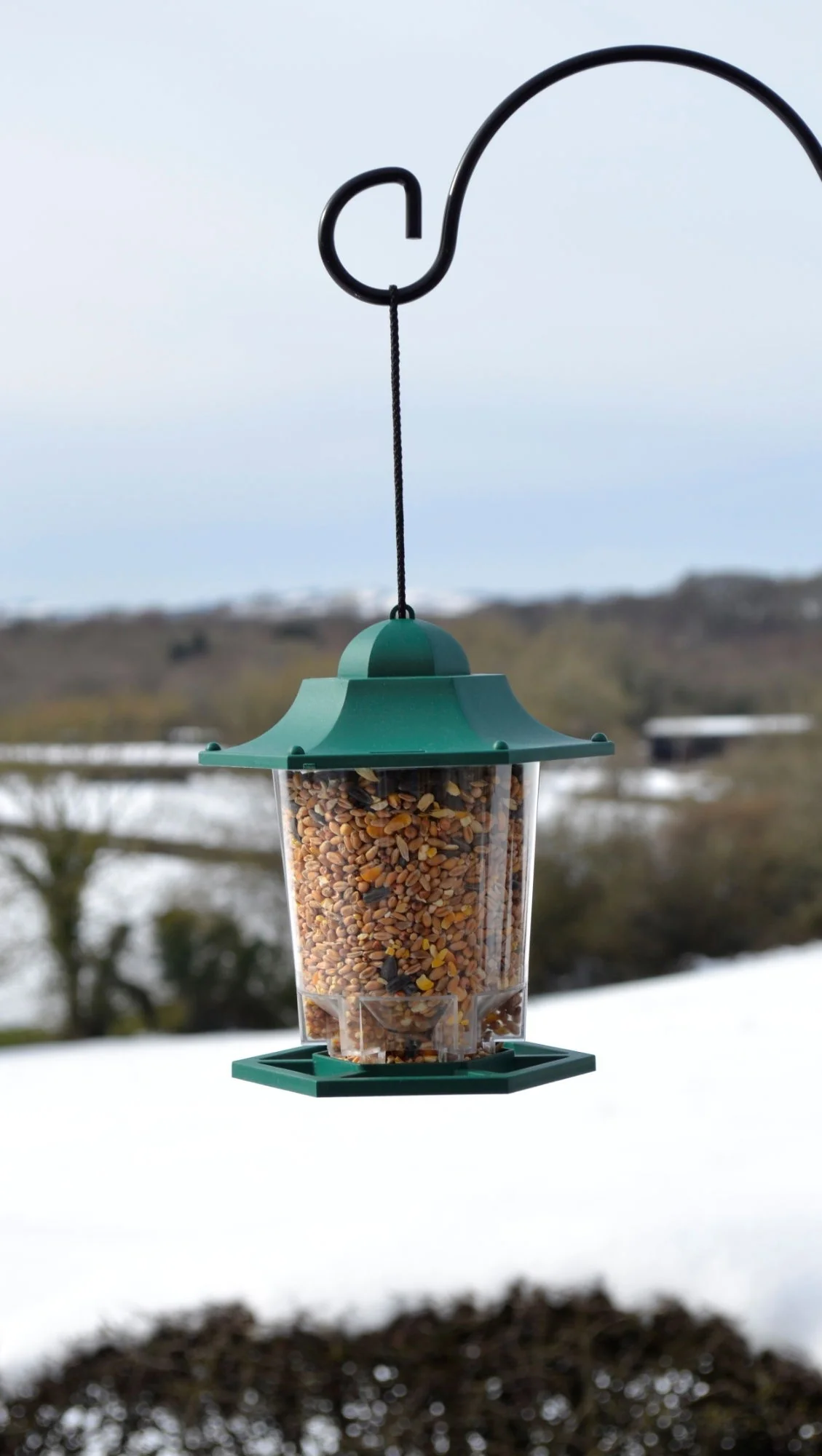 Supa Plastic Lantern Seed Feeder Green - Image 2