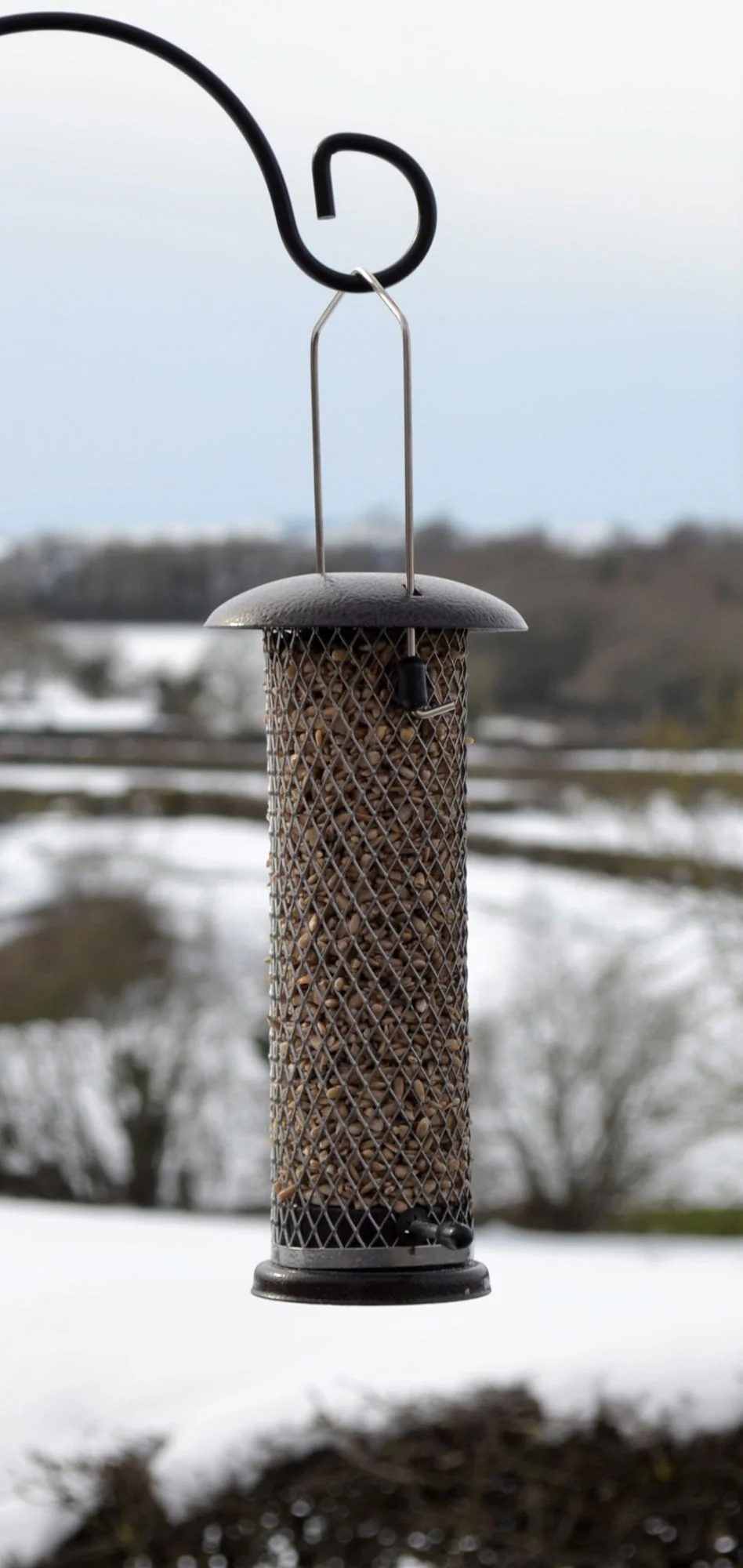 Supa Wild Bird Metal Sunflower Heart Feeder - Image 2
