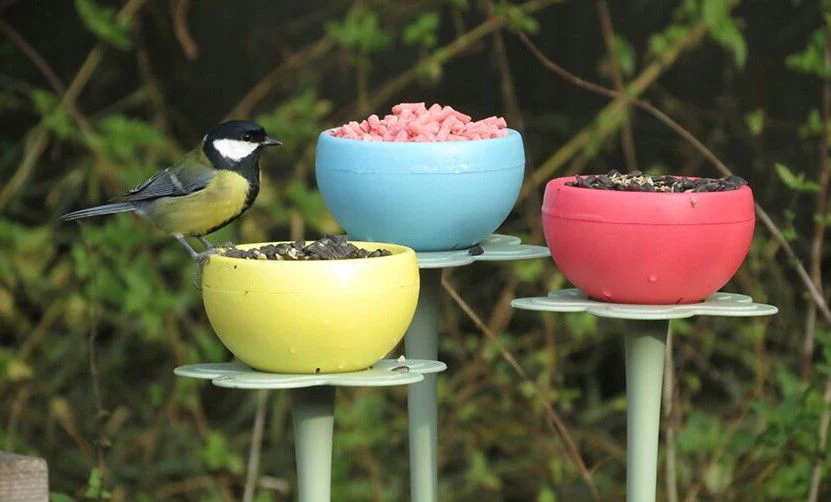 The Nuttery Pod Wild Bird Feeder - 3pack - Image 2
