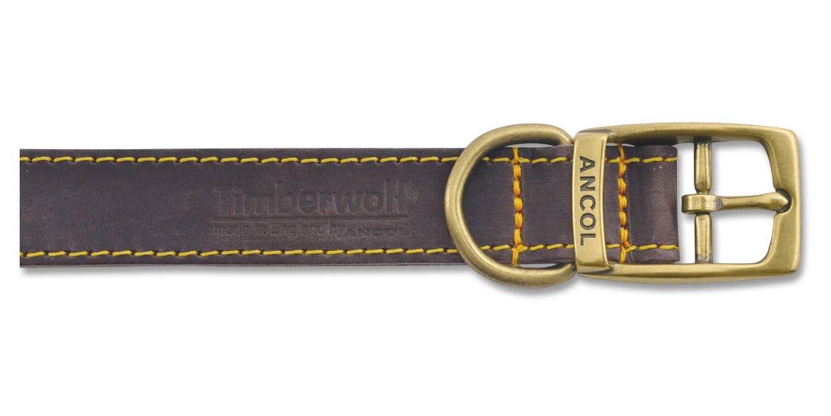 Timberwolf Leather Collar Sable 25mm X45-54cm