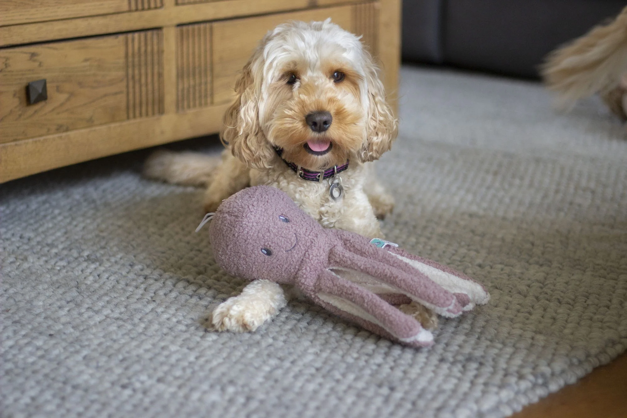 tufflove Octopus Small - Image 5