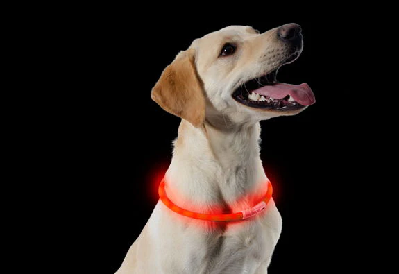 Usb Rechargeable Night Time Safety Halo 70cm - Image 3