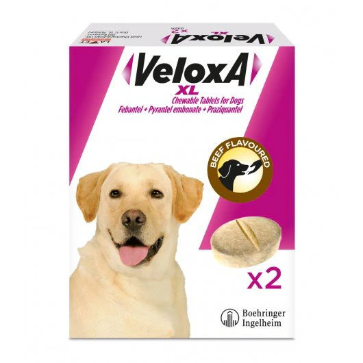 Veloxa Worming Tablets For Xl Dogs 2 Pack