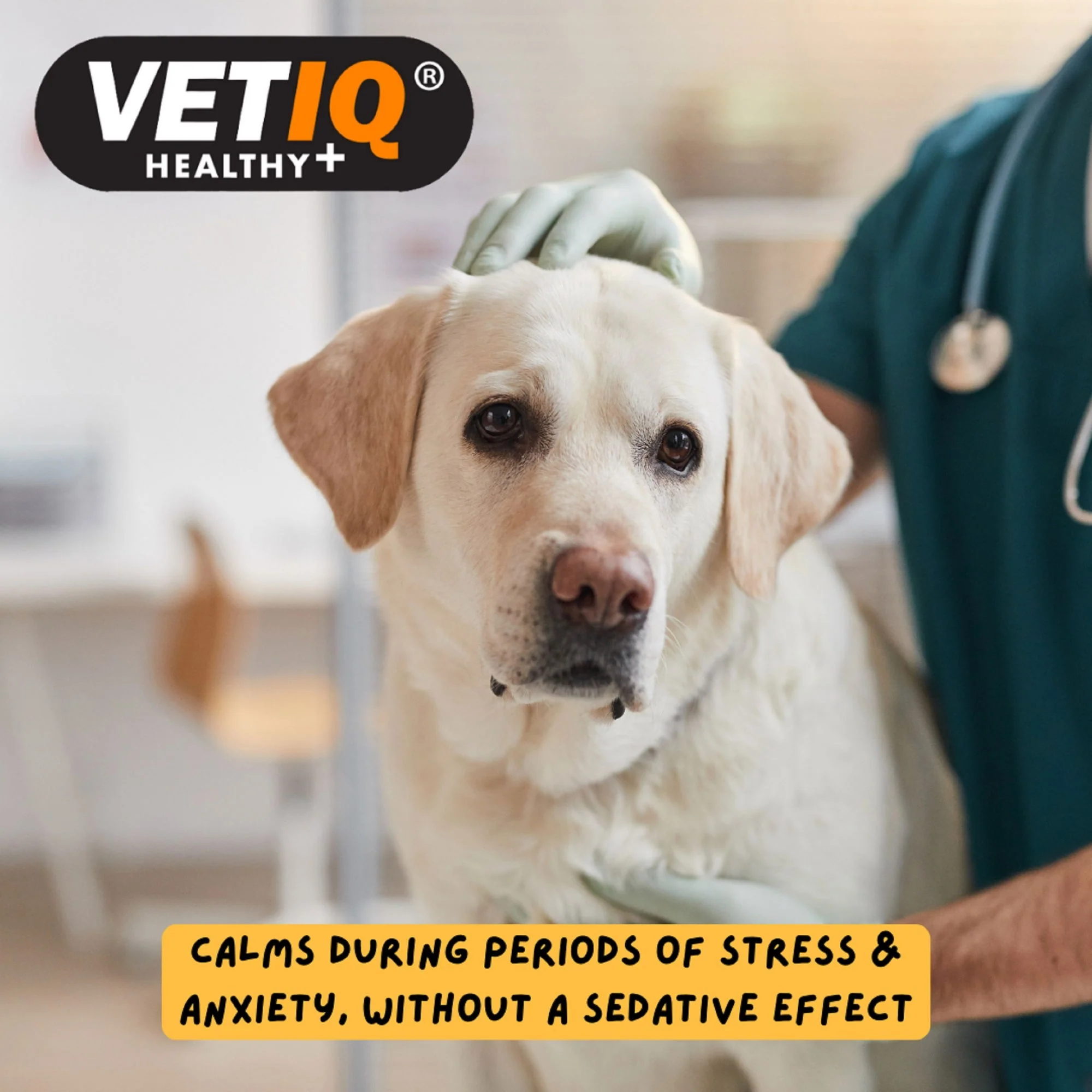 VetIQ Serene Calming Plus 60 Tablets - Image 3