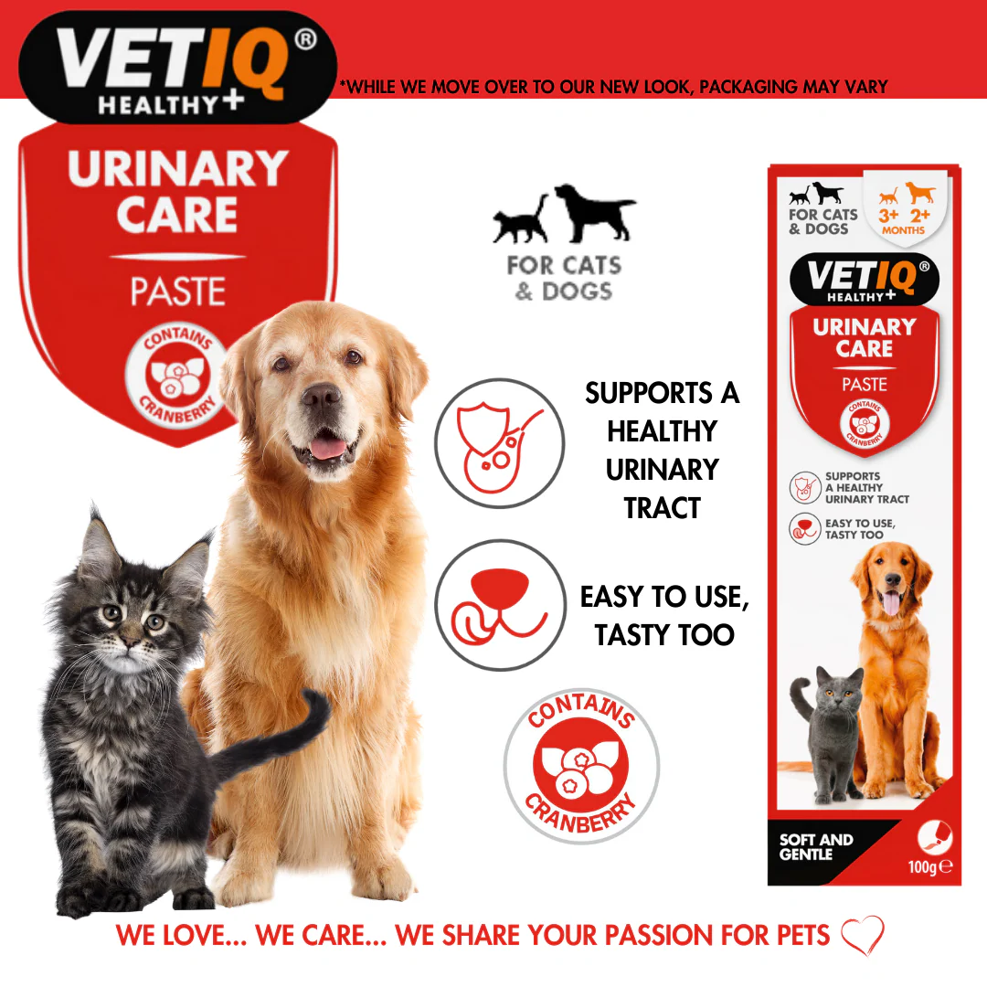 VetIQ Urinary Care Paste 100g - Image 3
