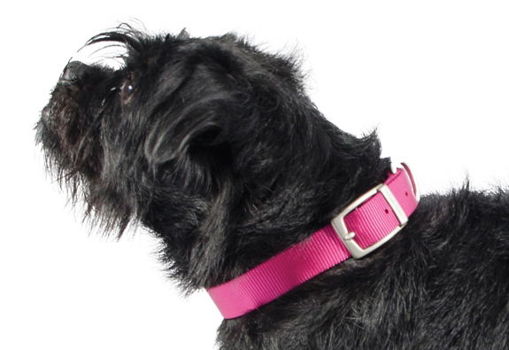 Viva Nylon Buckle Collar Pink 19mm X35-43cm Sz 4