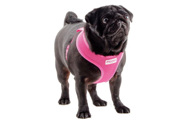Viva Nylon Comfort Mesh Harness Pink Extra Small 28-40cm