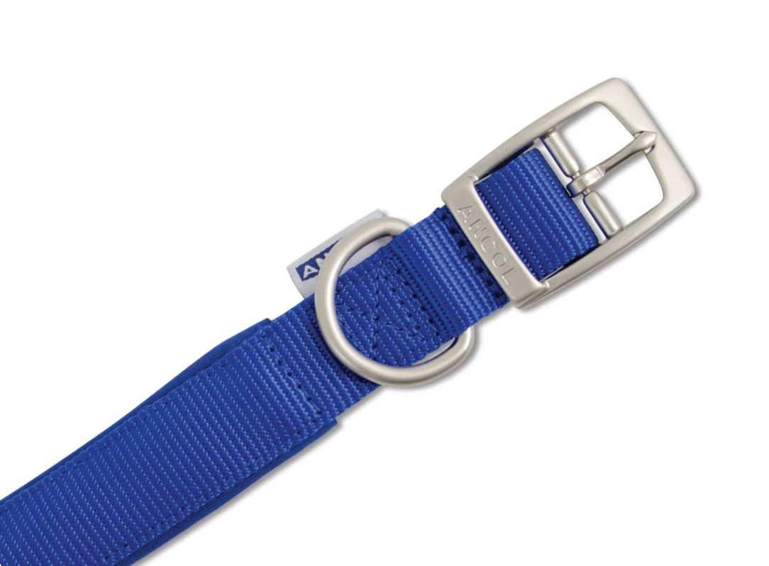 Viva Nylon Padded Buckle Collar Blue 19mm X35-43cm Sz 4 - Image 2