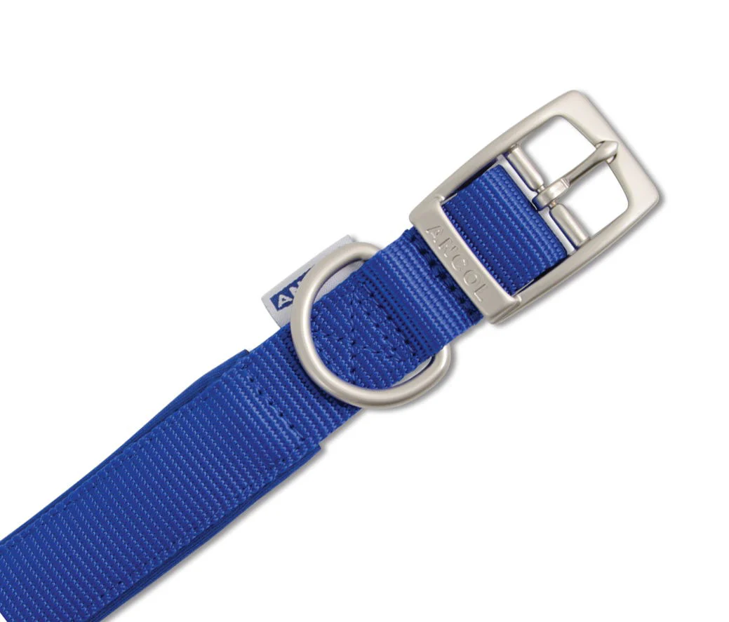 Viva Nylon Padded Buckle Collar Blue 25mm X39-48cm Sz 5 - Image 2