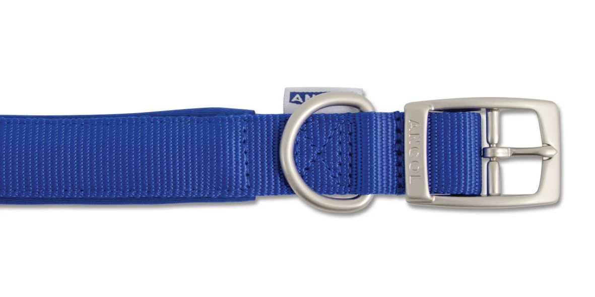 Viva Nylon Padded Buckle Collar Blue 25mm X50-59cm Sz 7
