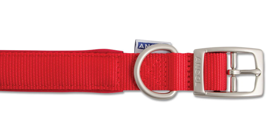 Viva Nylon Padded Buckle Collar Red 19mm X35-43cm Sz 4