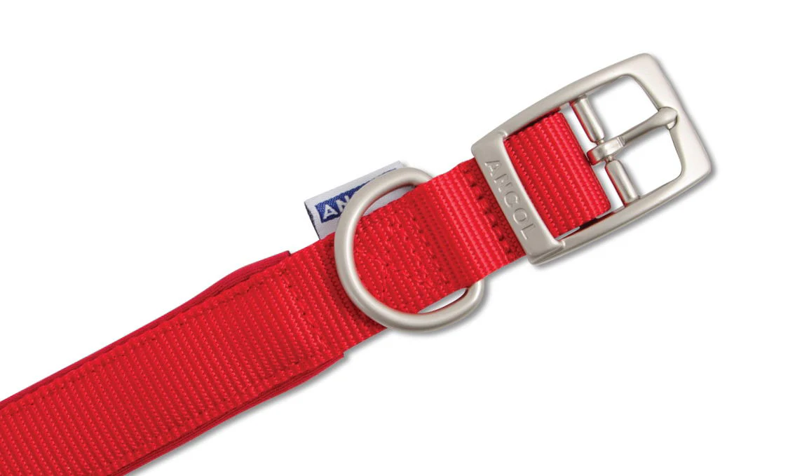 Viva Nylon Padded Buckle Collar Red 25mm X39-48cm Sz 5 - Image 2