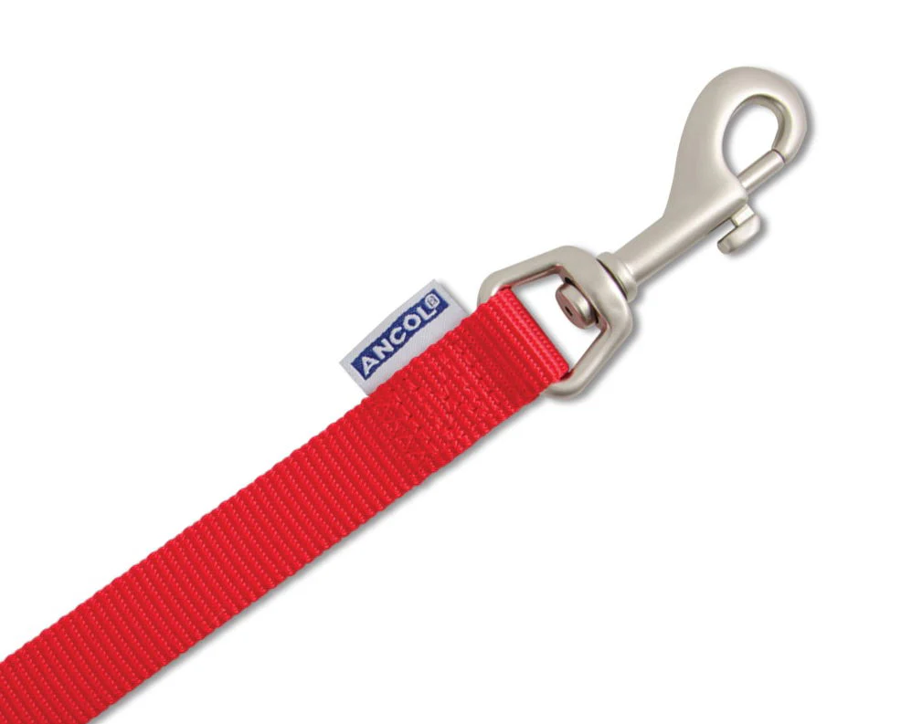 Viva Nylon Padded Snap Lead Red 25mm X1m - Image 2