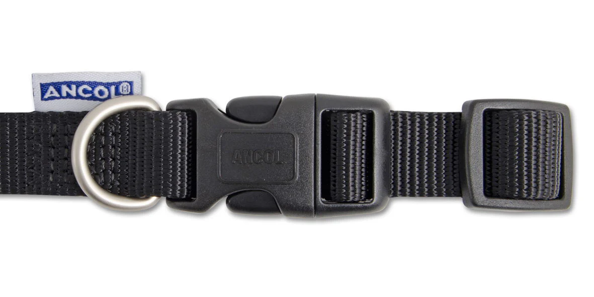 Viva Nylon Quick Fit Adj Collar Black 15mm X20-30cm Sz1-2