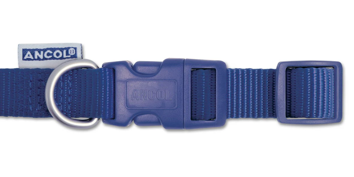 Viva Nylon Quick Fit Adj Collar Blue 19mm X30-50cm Sz2-5