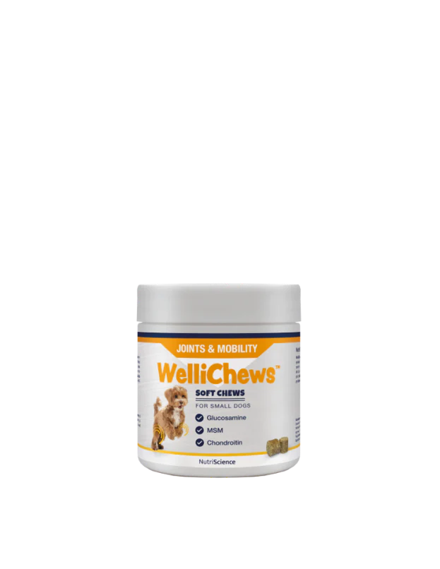 Wellichew - Joint Small Dog/Cat - 120 Chews 120g - Image 2